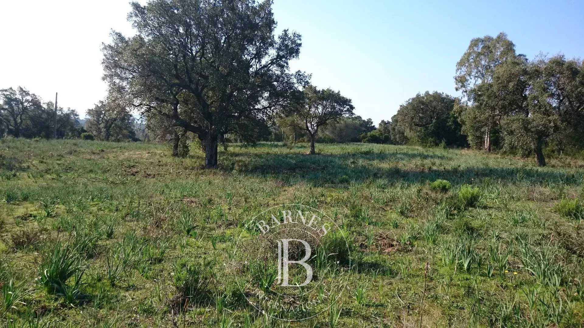 Porto-Vecchio  - Building land 