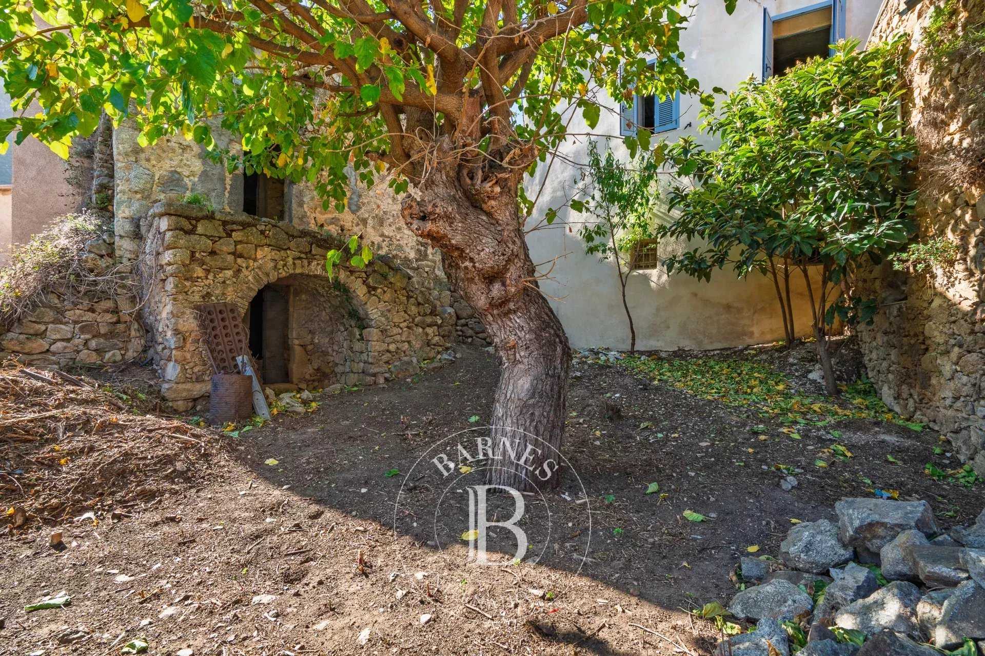 L'Île-Rousse  - Villa 12 Pièces