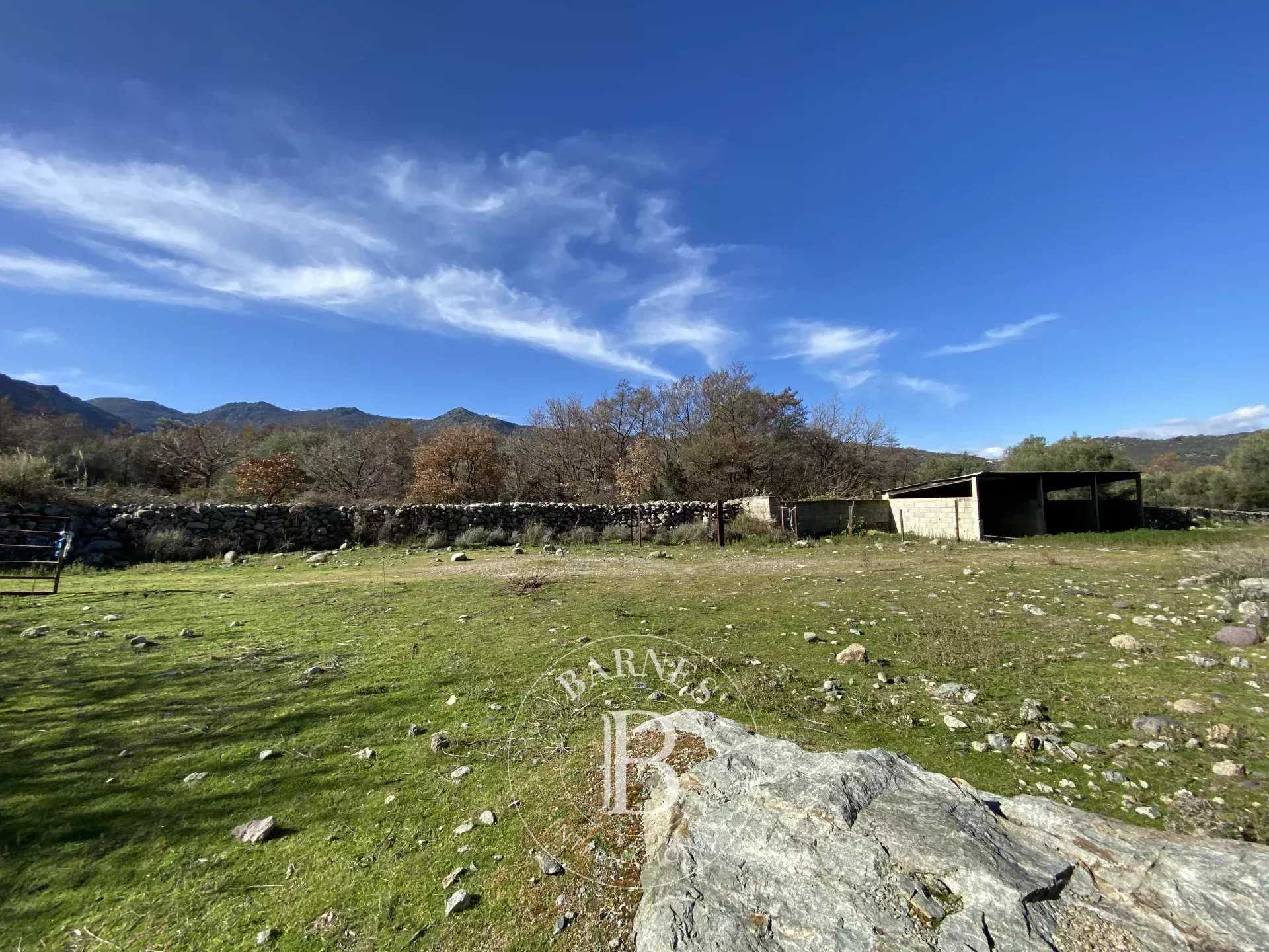 L'Île-Rousse  - Property 