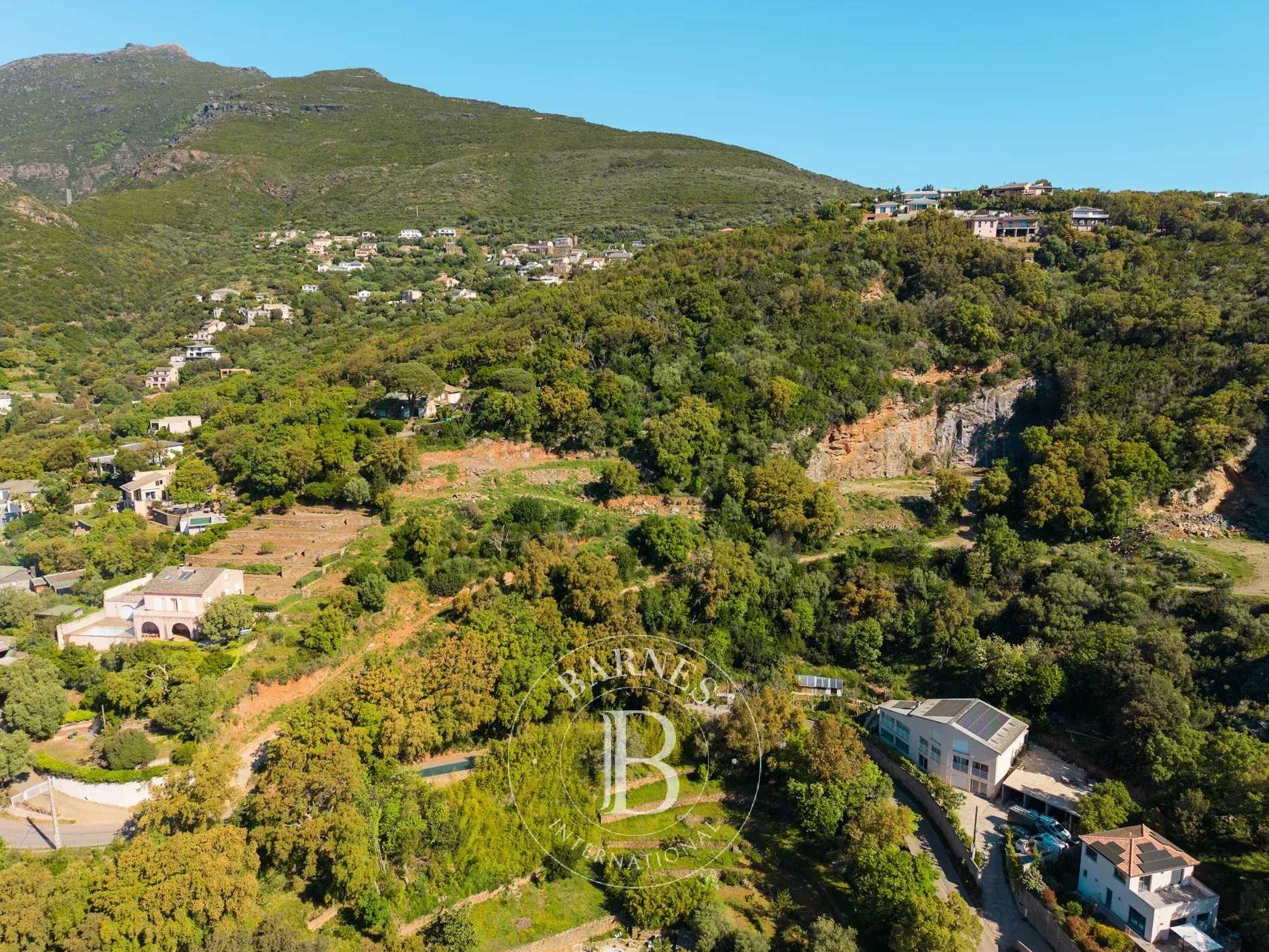Santa-Maria-di-Lota  - Terrain constructible 
