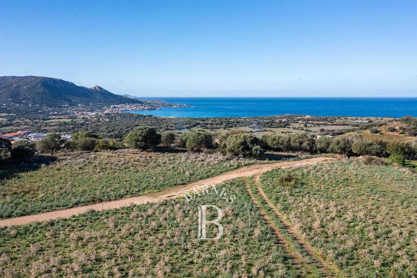 Corbara  - Terrain constructible 