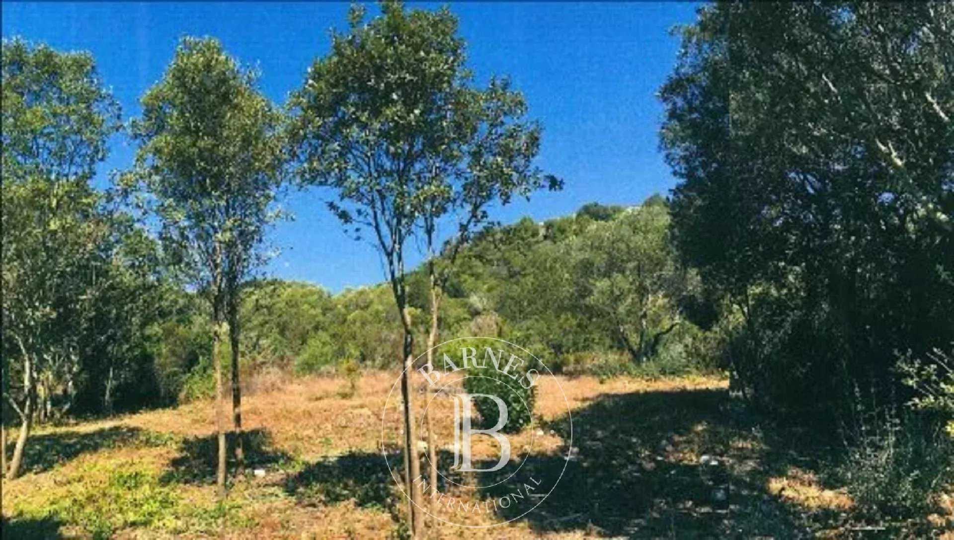 Bonifacio  - Plot of land 