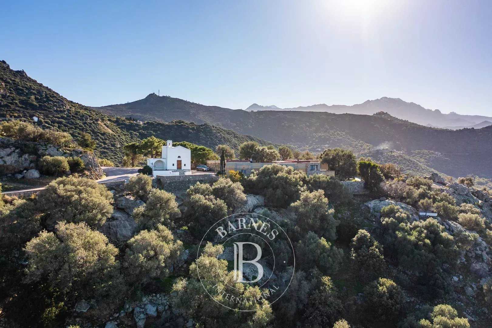 Corbara  - Terrain constructible 