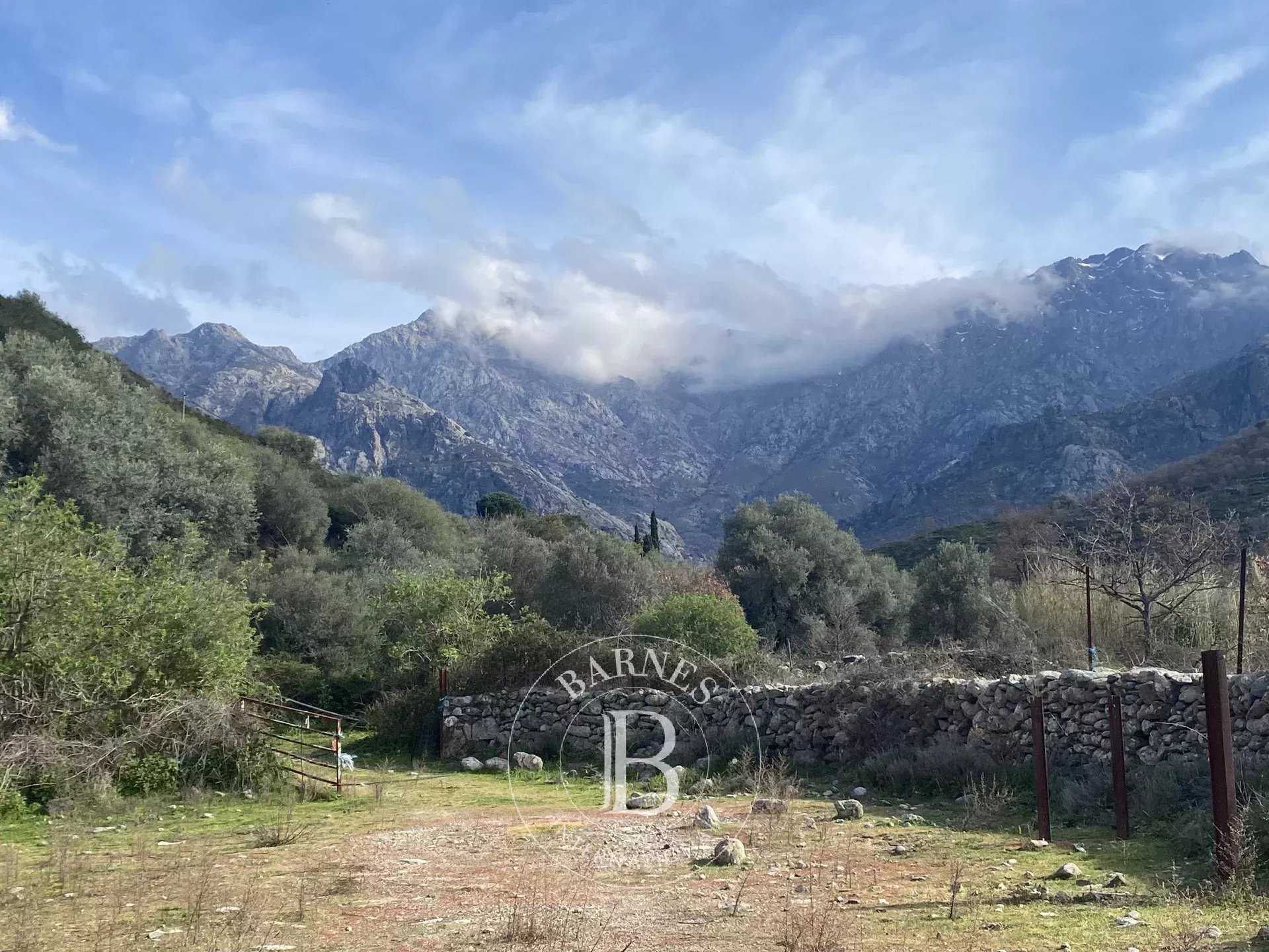 L'Île-Rousse  - Property 