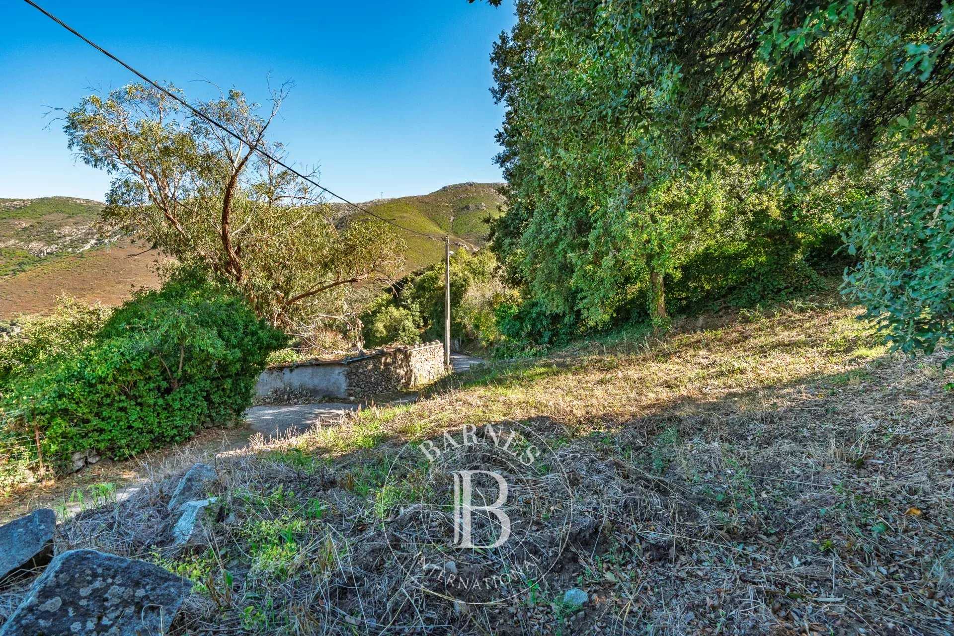 Occhiatana  - Building land 