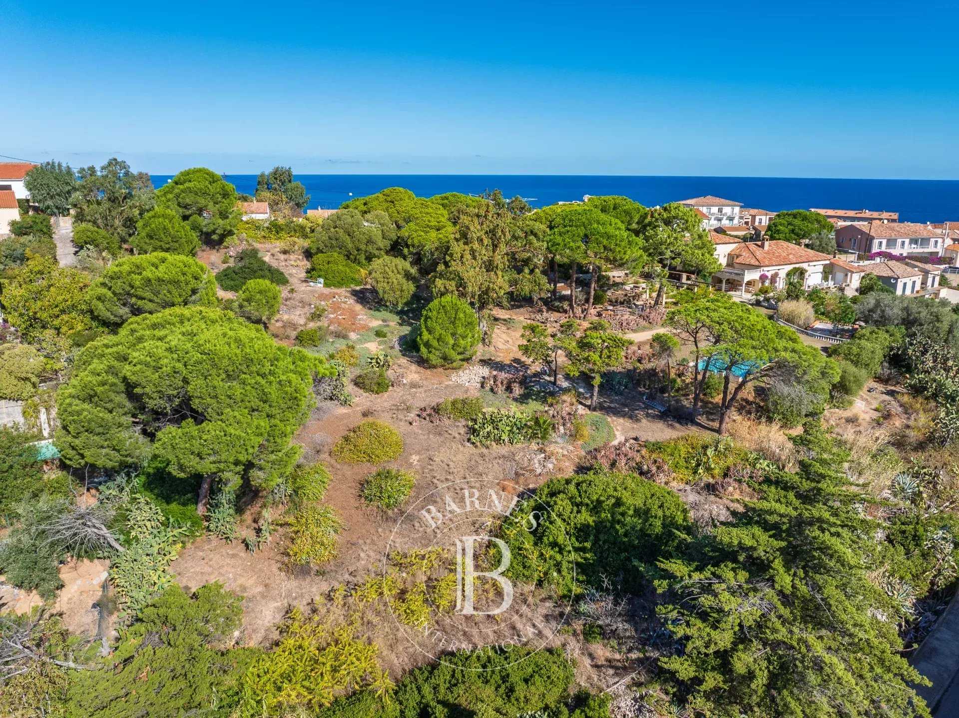 Calvi  - Building land 