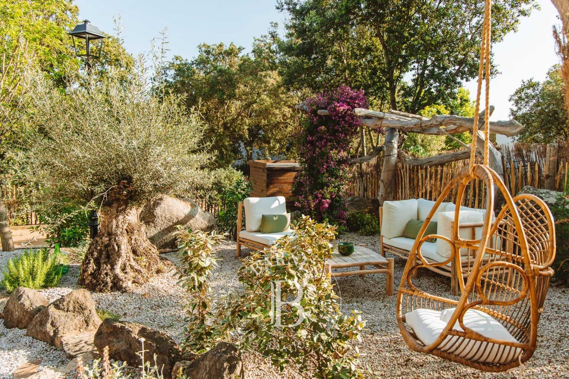 Balagne, Pigna, 3 bedroom villa, swimming pool, close to the beach picture 20