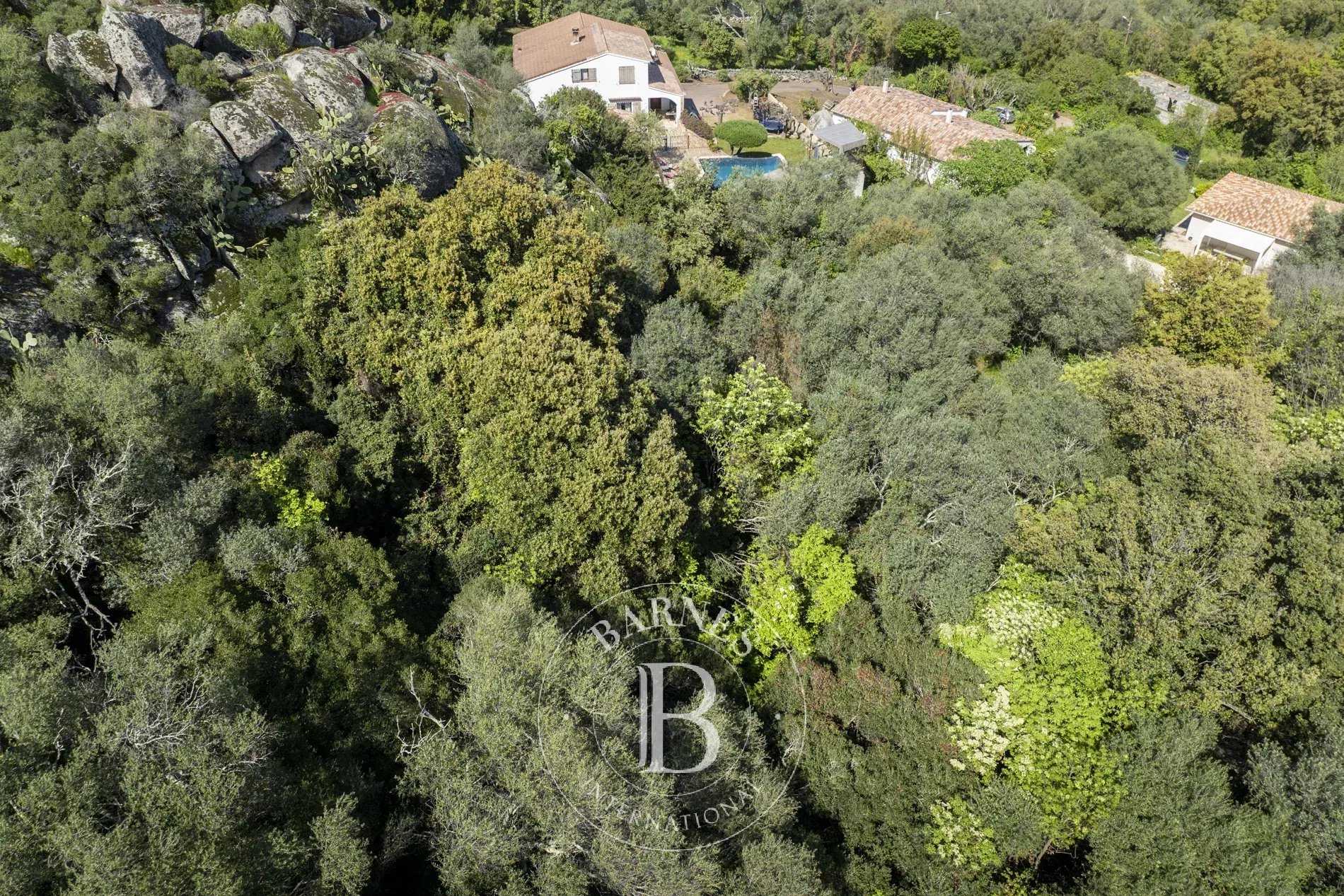 Porto-Vecchio  - Building land 