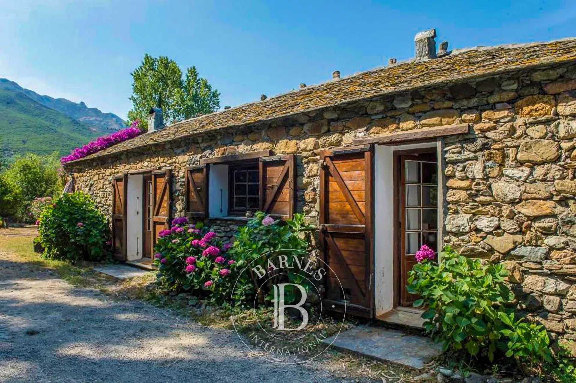 Saint-Florent  - Villa 8 Bedrooms