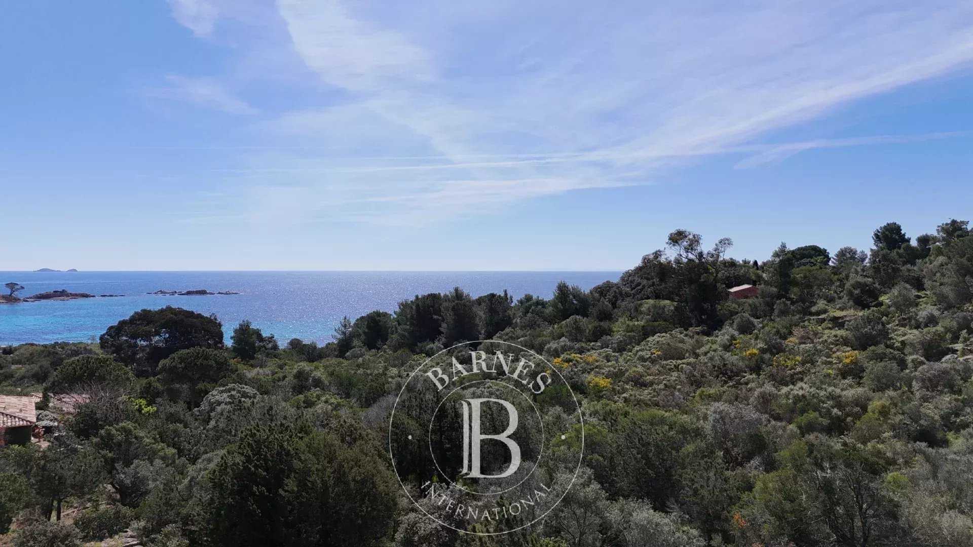 Porto-Vecchio  - Plot of land 