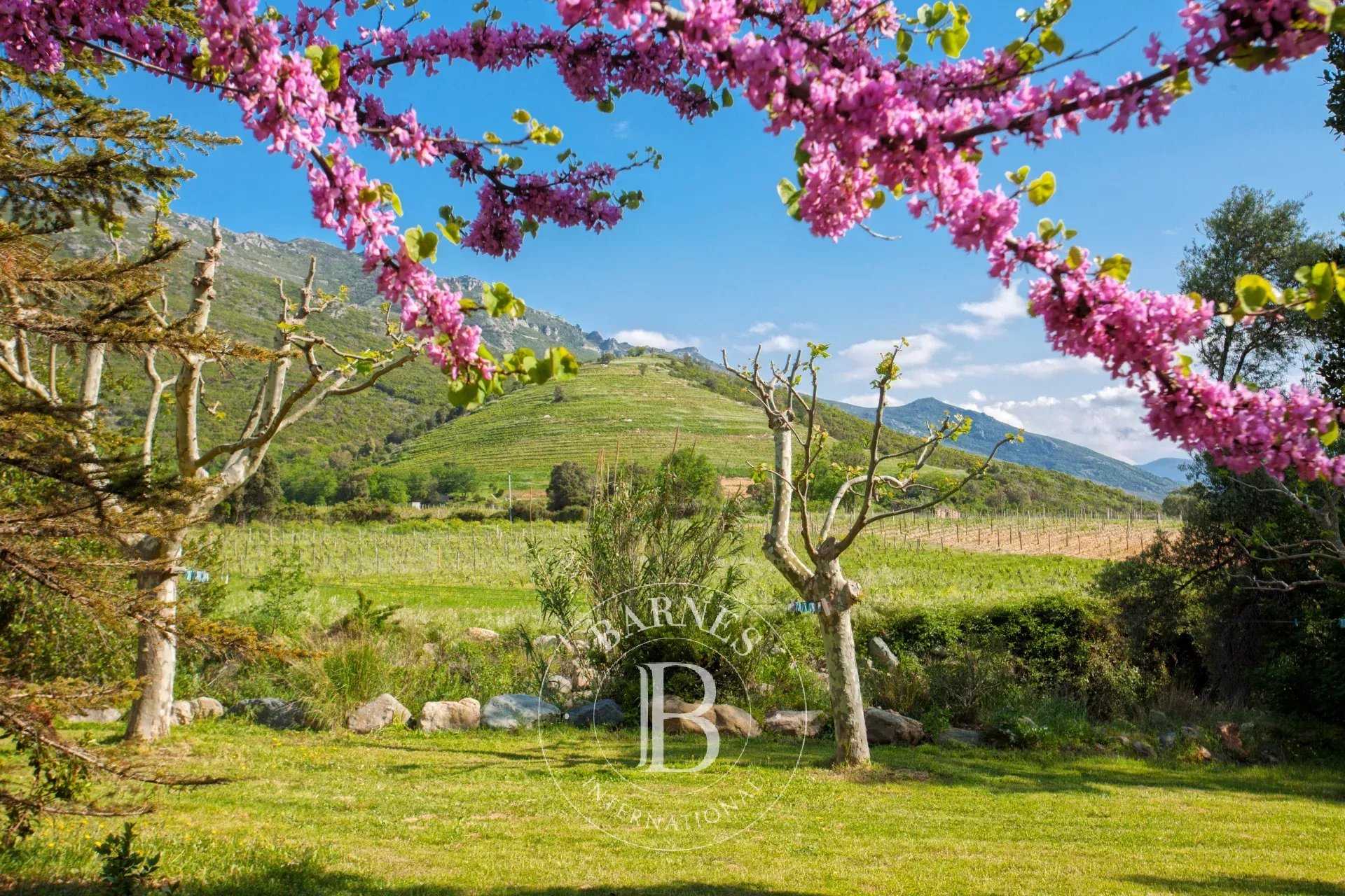 Saint-Florent  - Villa 8 Bedrooms