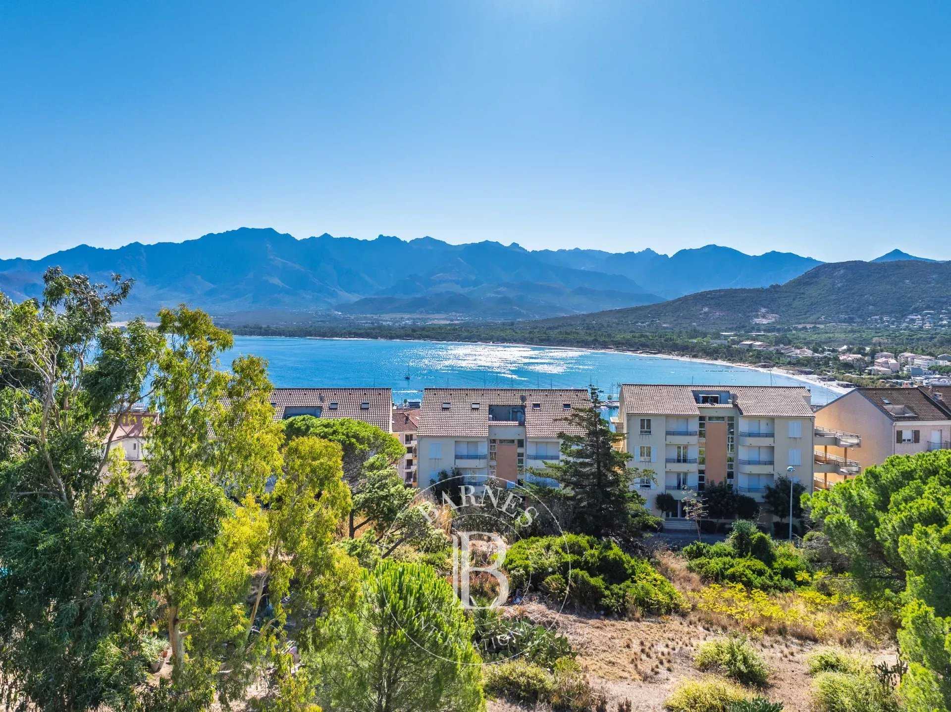 Calvi  - Building land 