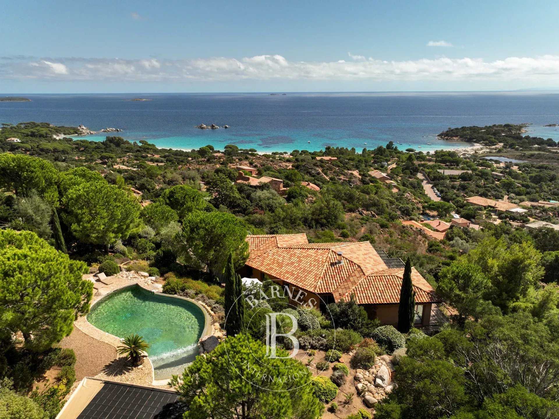 Porto-Vecchio  - Villa 