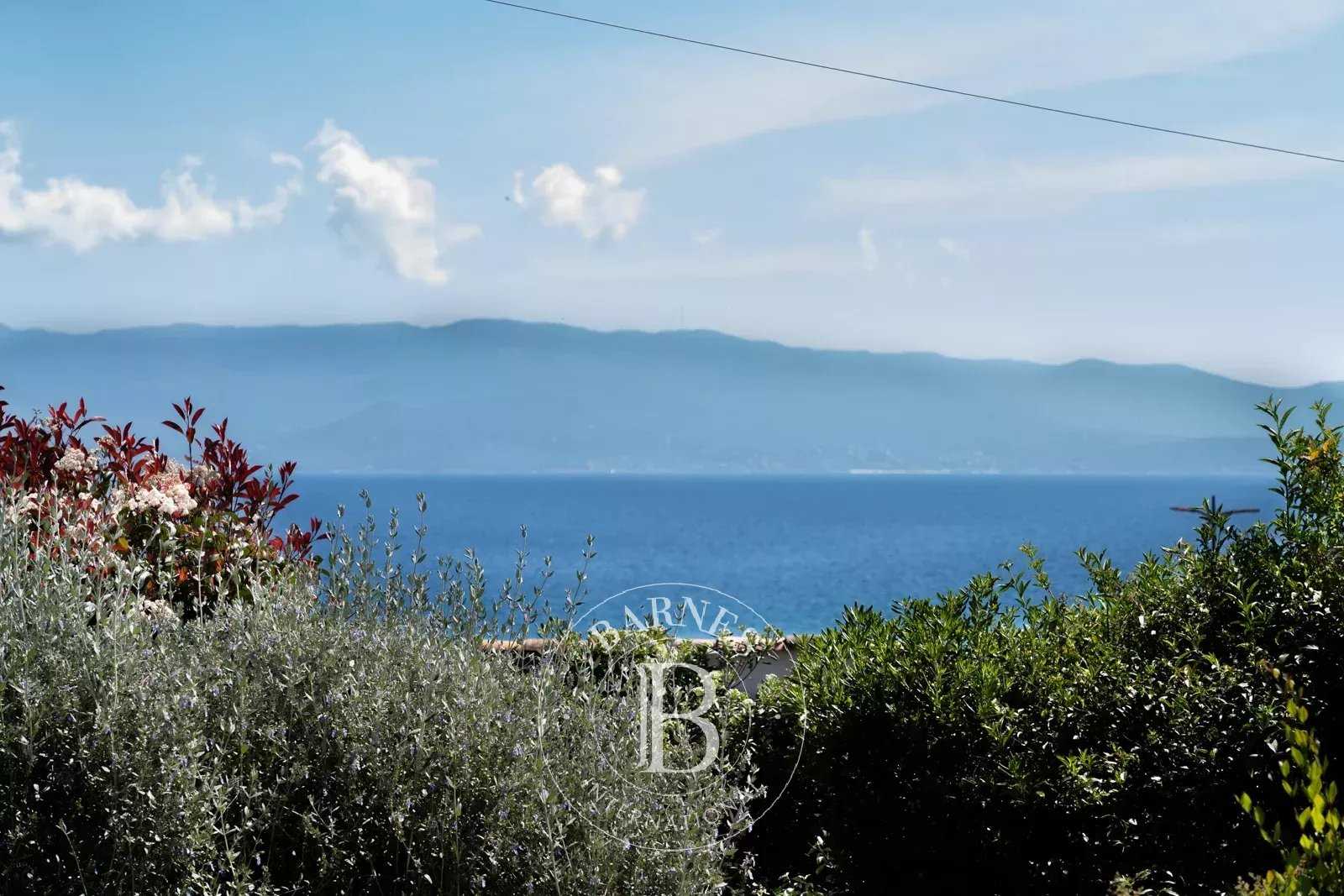 Apartment Ajaccio  -  ref 85678695 (picture 3)