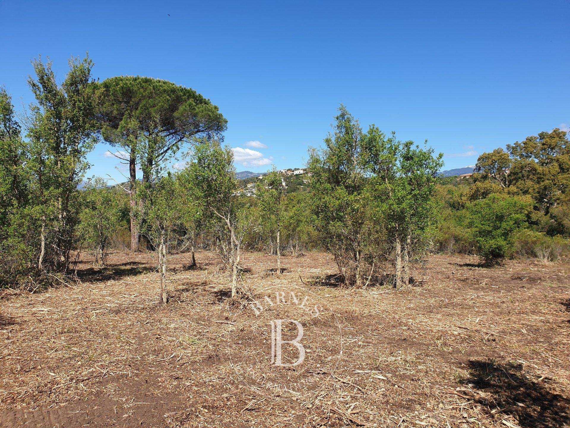 Terrain constructible Sainte-Lucie-de-Porto-Vecchio  -  ref 3480607 (picture 1)