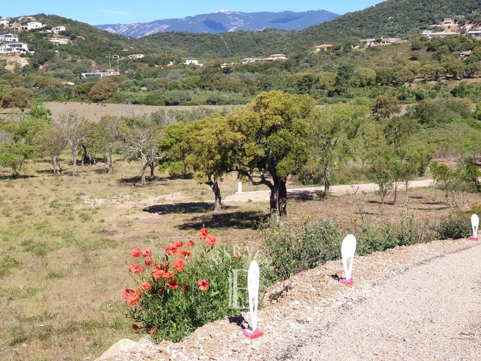 Terrain constructible Sainte-Lucie-de-Porto-Vecchio  -  ref 3204148 (picture 2)