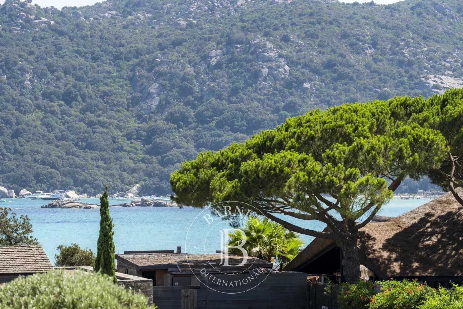 Villa Porto-Vecchio  -  ref 85147994 (picture 1)