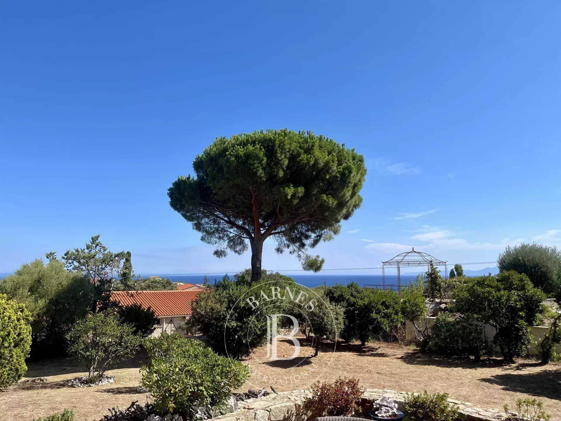 Maison L'Île-Rousse  -  ref 85951655 (picture 1)