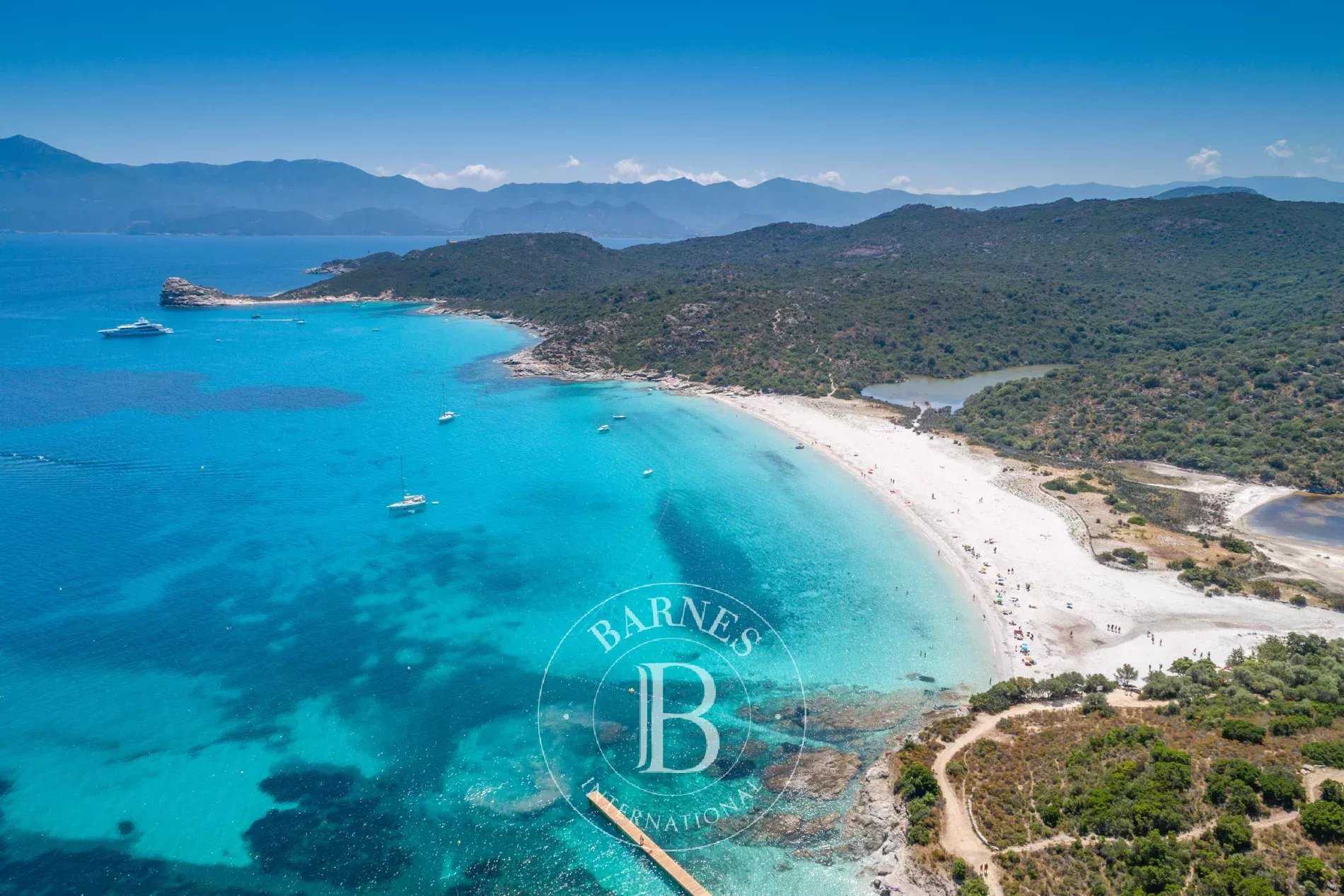 Hôtel Saint-Florent  -  ref 86592757 (picture 3)