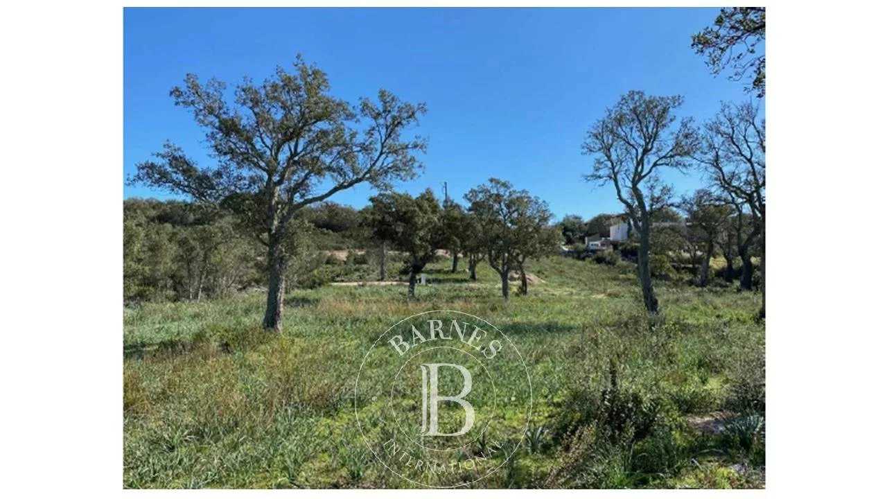 Terrain constructible Sainte-Lucie-de-Porto-Vecchio  -  ref 6376557 (picture 3)