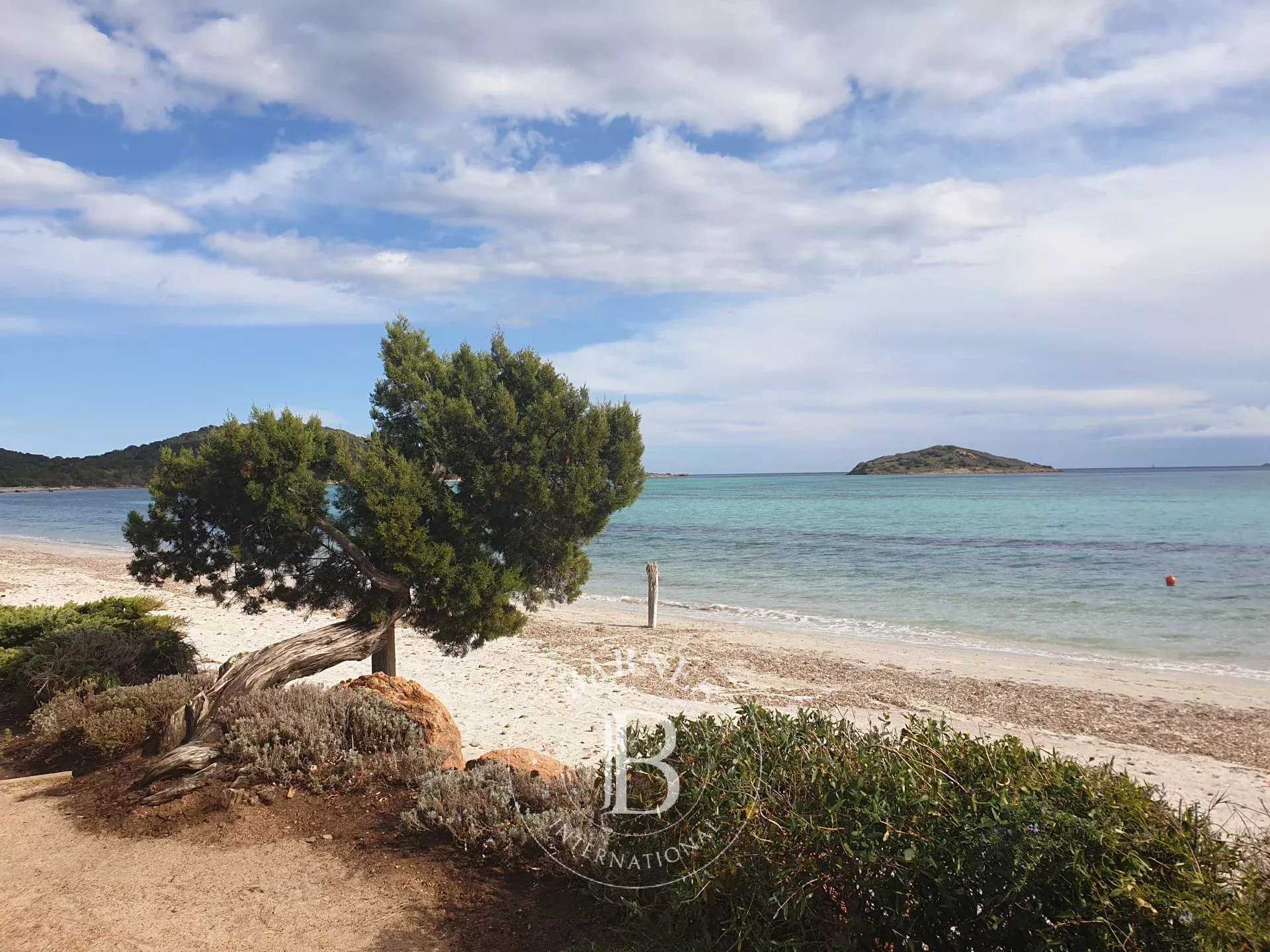 Terrain constructible Sainte-Lucie-de-Porto-Vecchio  -  ref 82894738 (picture 1)