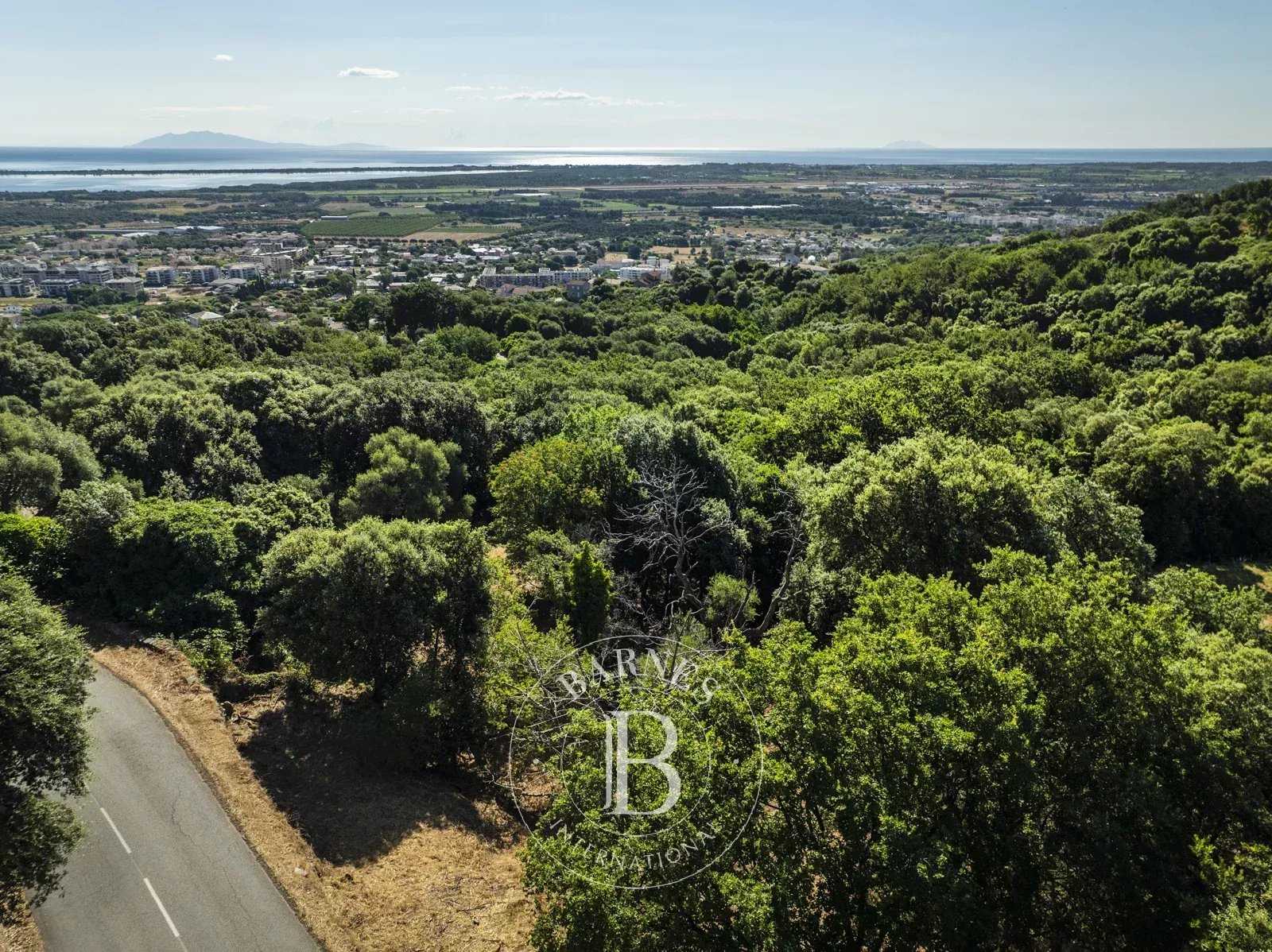 Building land Borgo  -  ref 85976270 (picture 1)