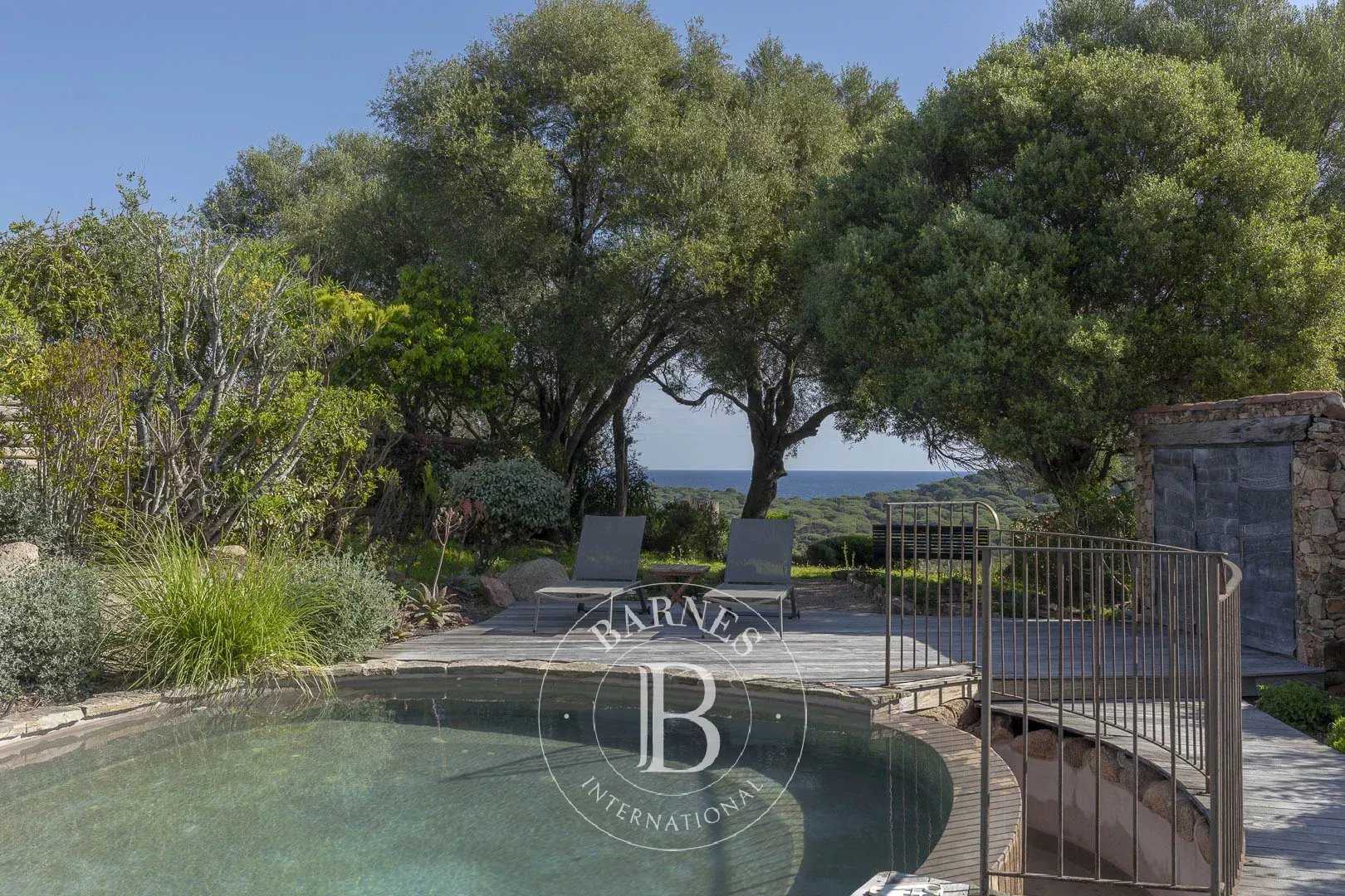 Villa Porto-Vecchio  -  ref 85717234 (picture 1)