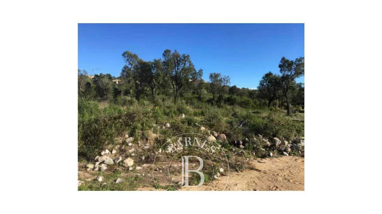 Terrain constructible Sainte-Lucie-de-Porto-Vecchio  -  ref 84053896 (picture 3)