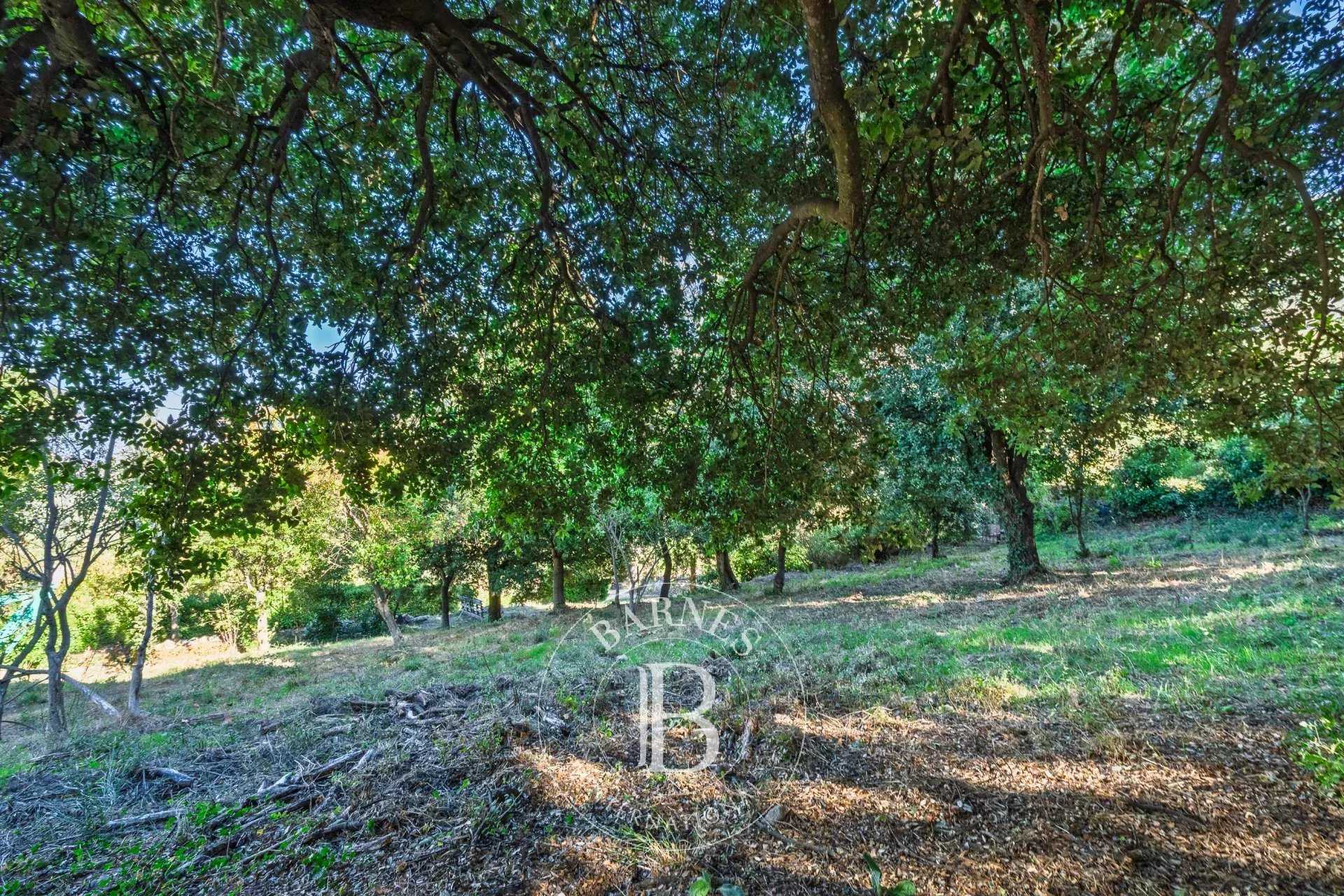 Building land Occhiatana  -  ref 86431437 (picture 2)