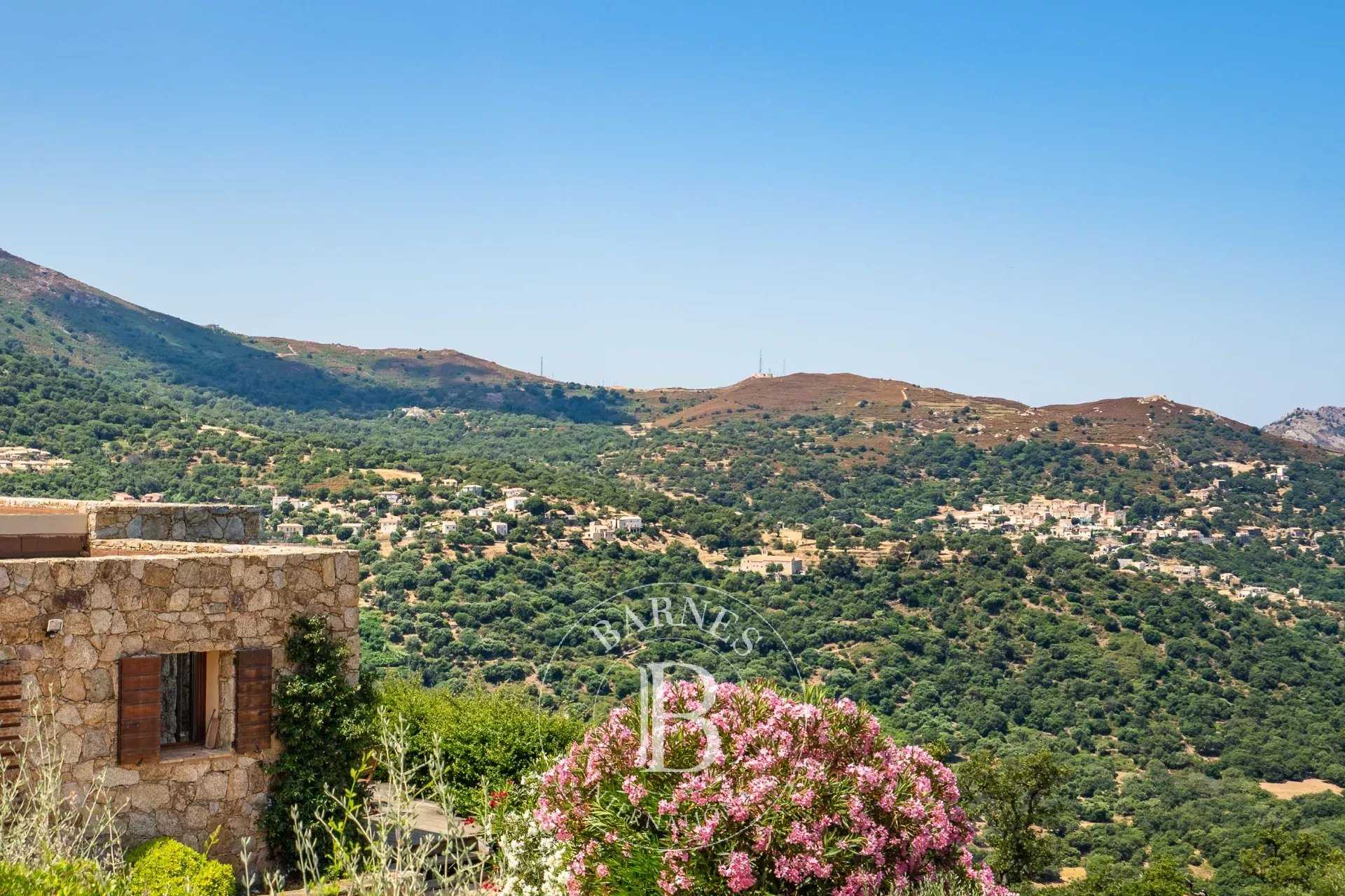 Villa L'Île-Rousse  -  ref 85902623 (picture 2)
