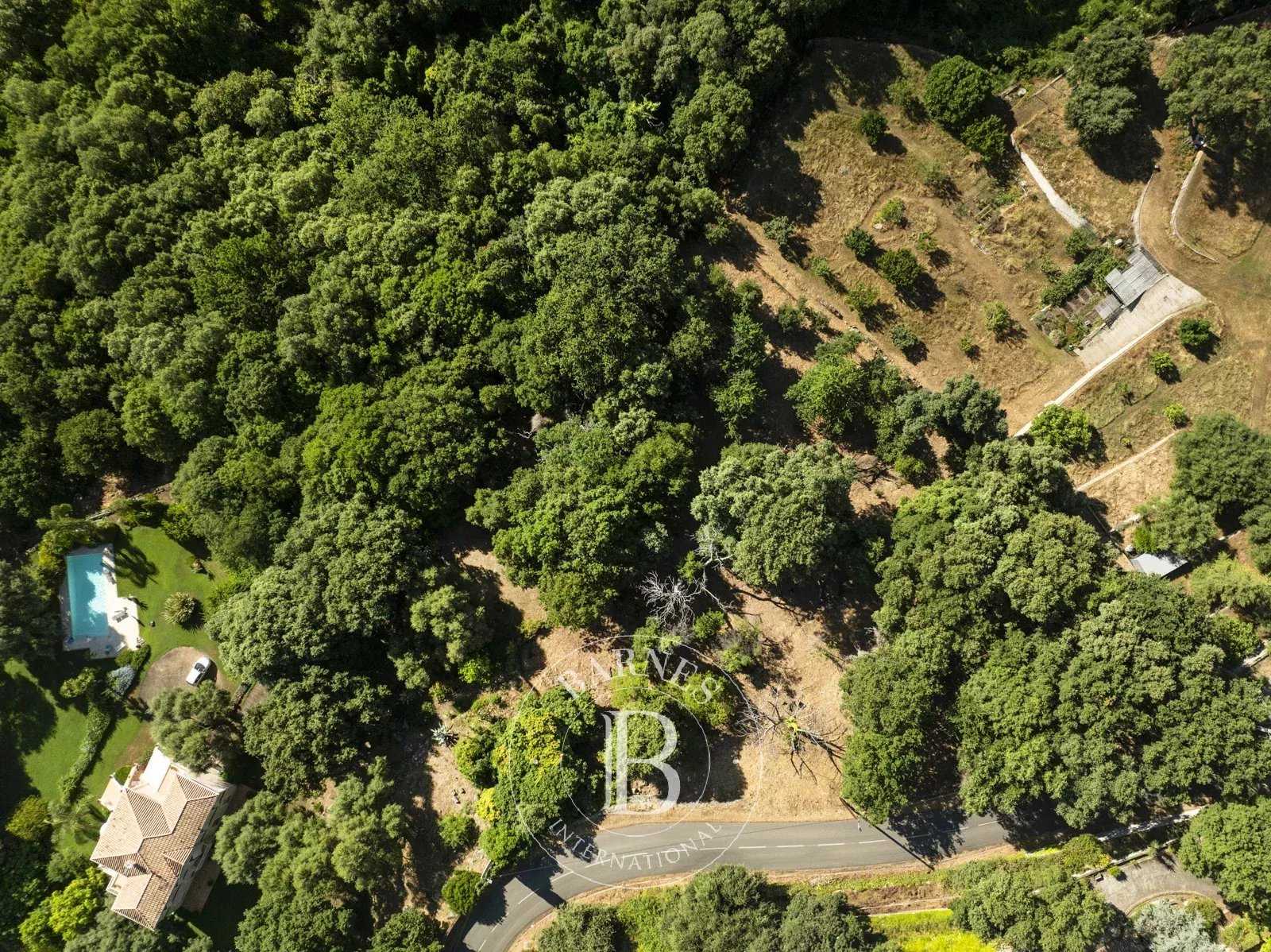 Building land Borgo  -  ref 85976270 (picture 3)