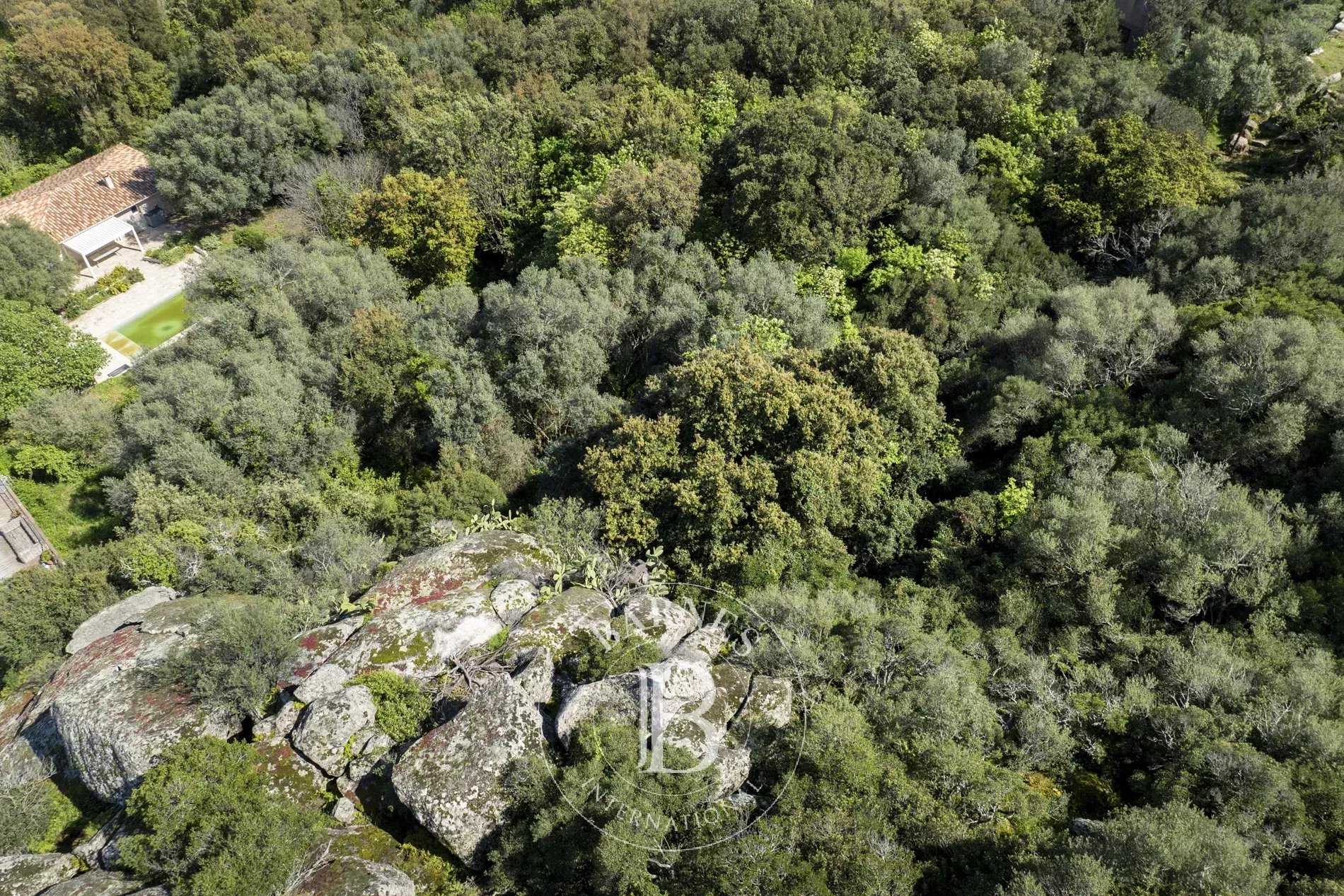 Building land Porto-Vecchio  -  ref 85777316 (picture 2)