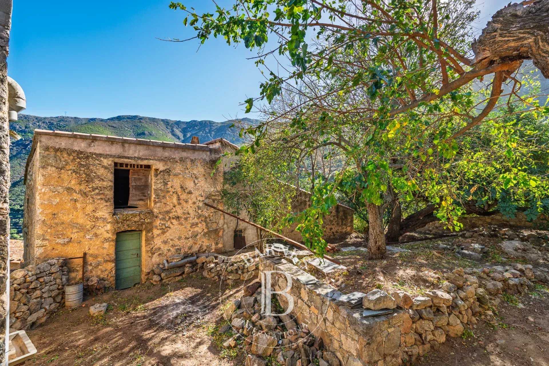 Villa L'Île-Rousse  -  ref 86235776 (picture 2)