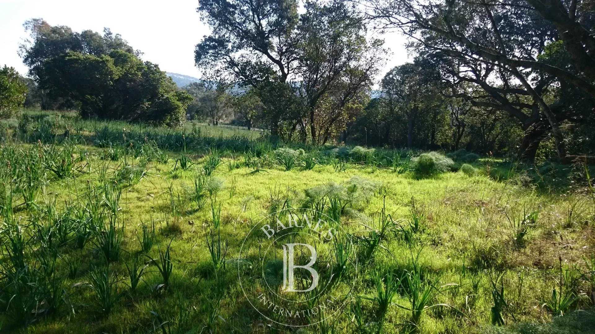 Building land Lecci  -  ref 86436928 (picture 1)