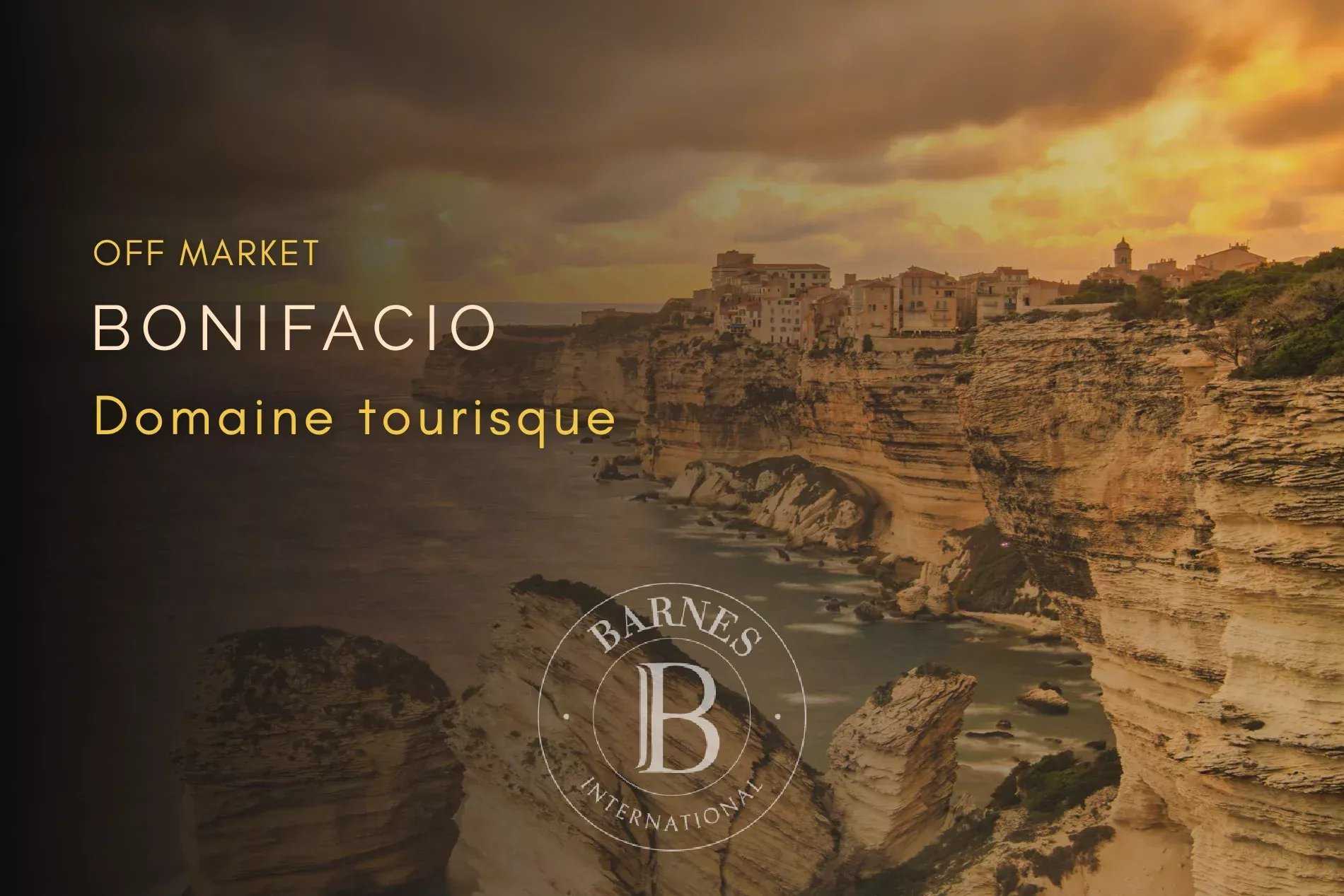 Entreprise Bonifacio  -  ref 87213910 (picture 1)