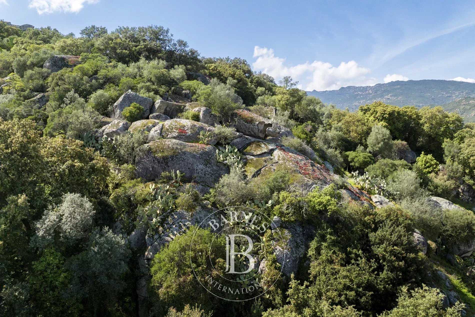 Building land Porto-Vecchio  -  ref 85777316 (picture 3)