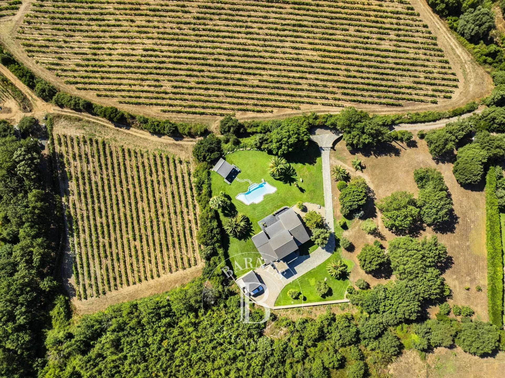 Villa Saint-Florent  -  ref 86002014 (picture 1)