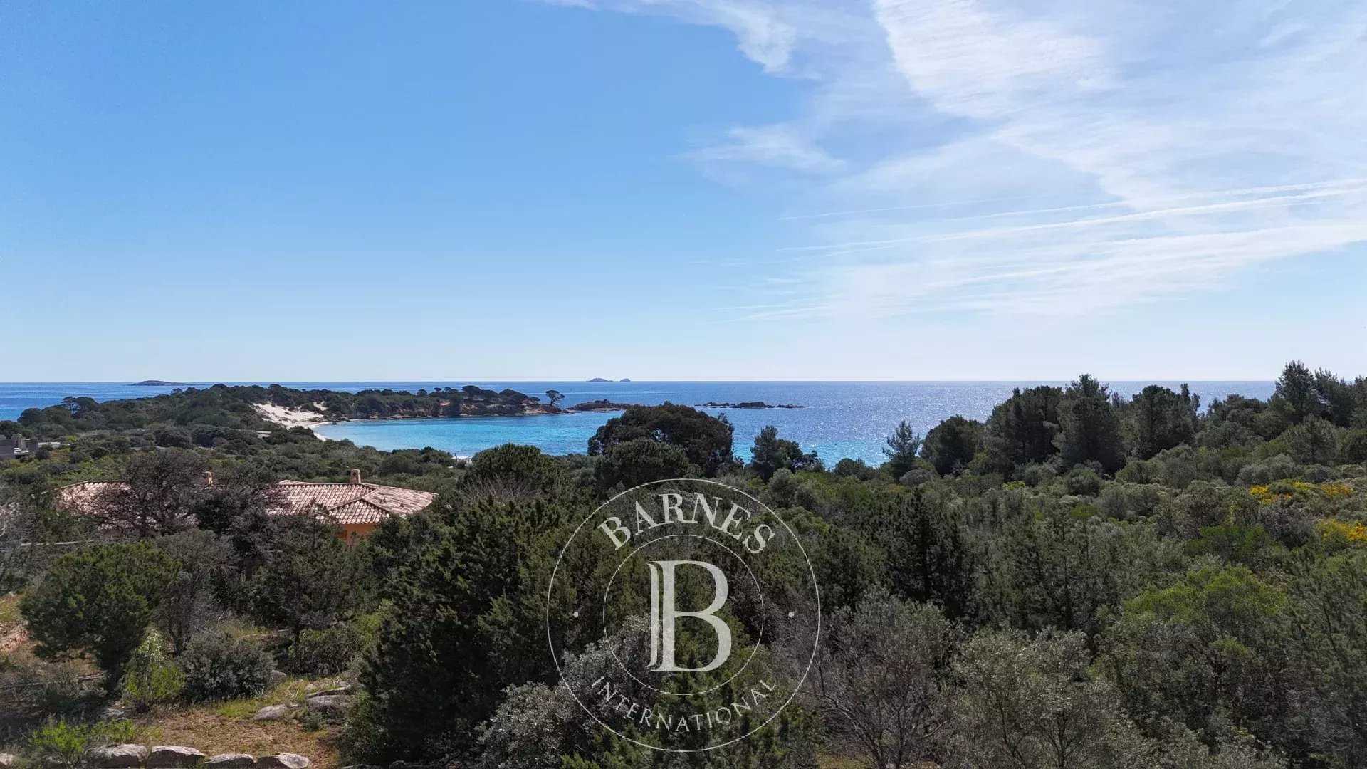 Plot of land Porto-Vecchio  -  ref 85993243 (picture 3)