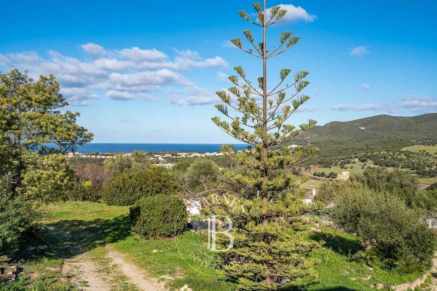 Maison L'Île-Rousse  -  ref 85530057 (picture 1)