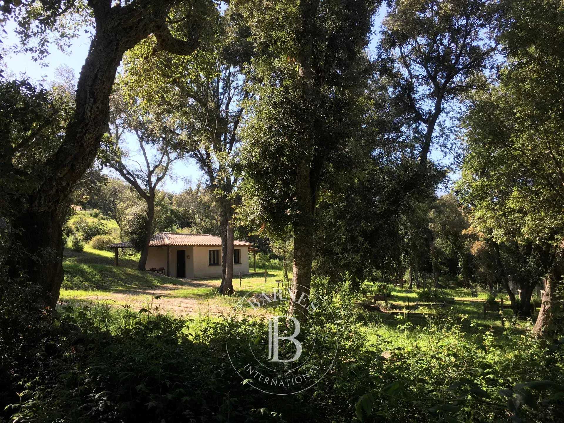 Villa Porto-Vecchio  -  ref 84142737 (picture 1)