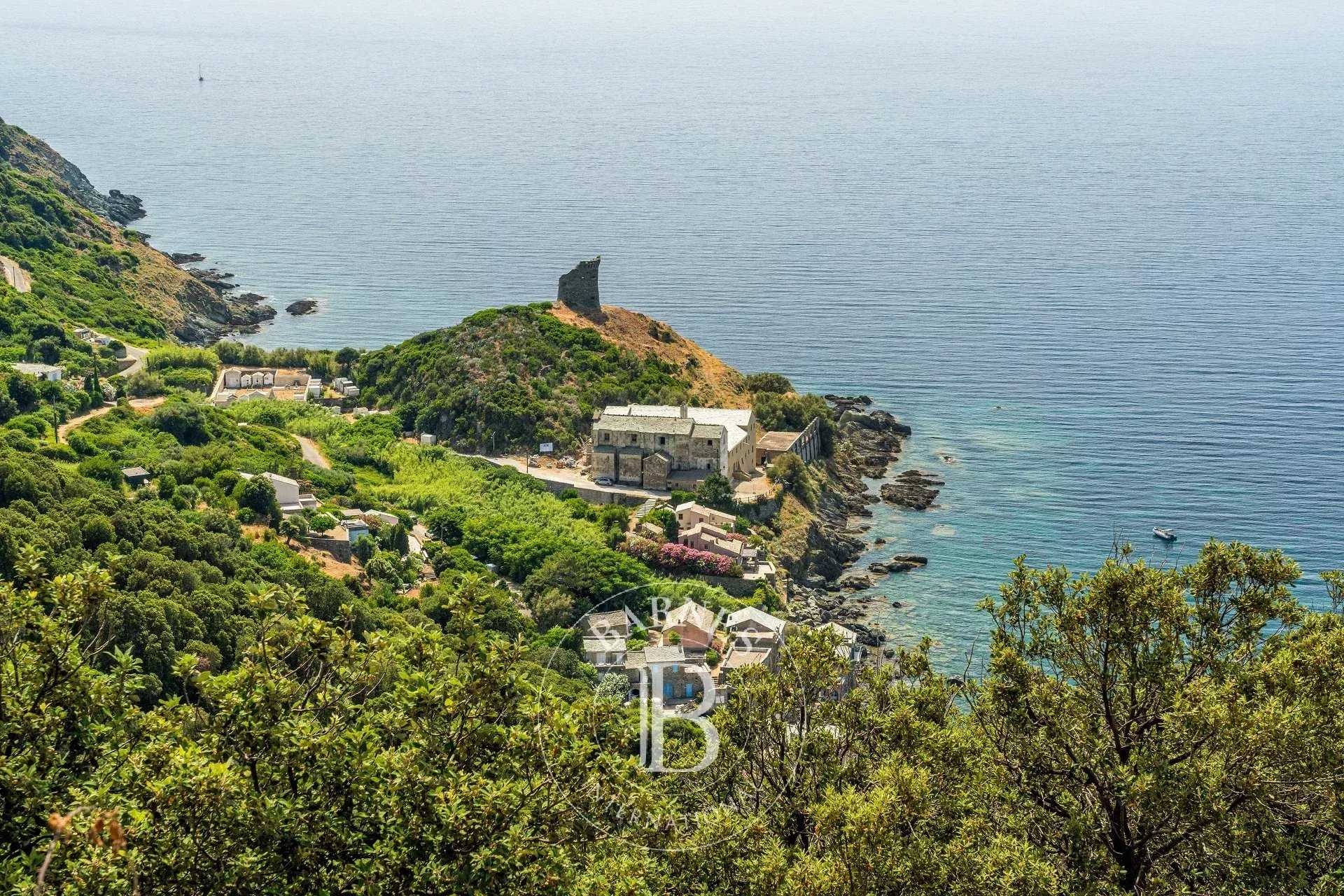 Maison Pino  -  ref 86669246 (picture 1)