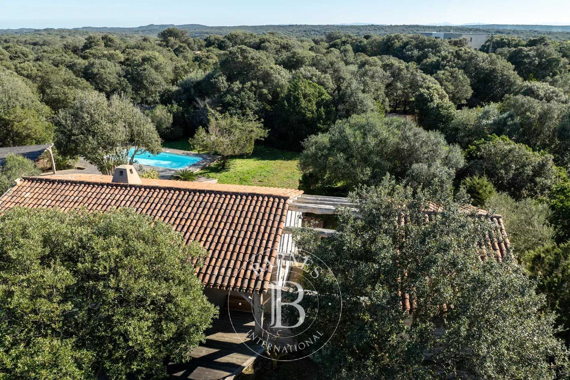 Villa Bonifacio  -  ref 85631551 (picture 3)