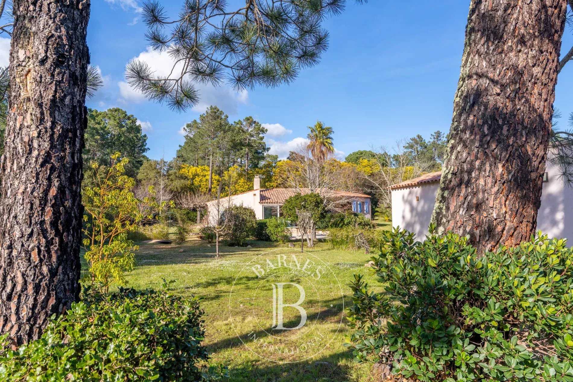 Maison Porto-Vecchio  -  ref 85633634 (picture 3)