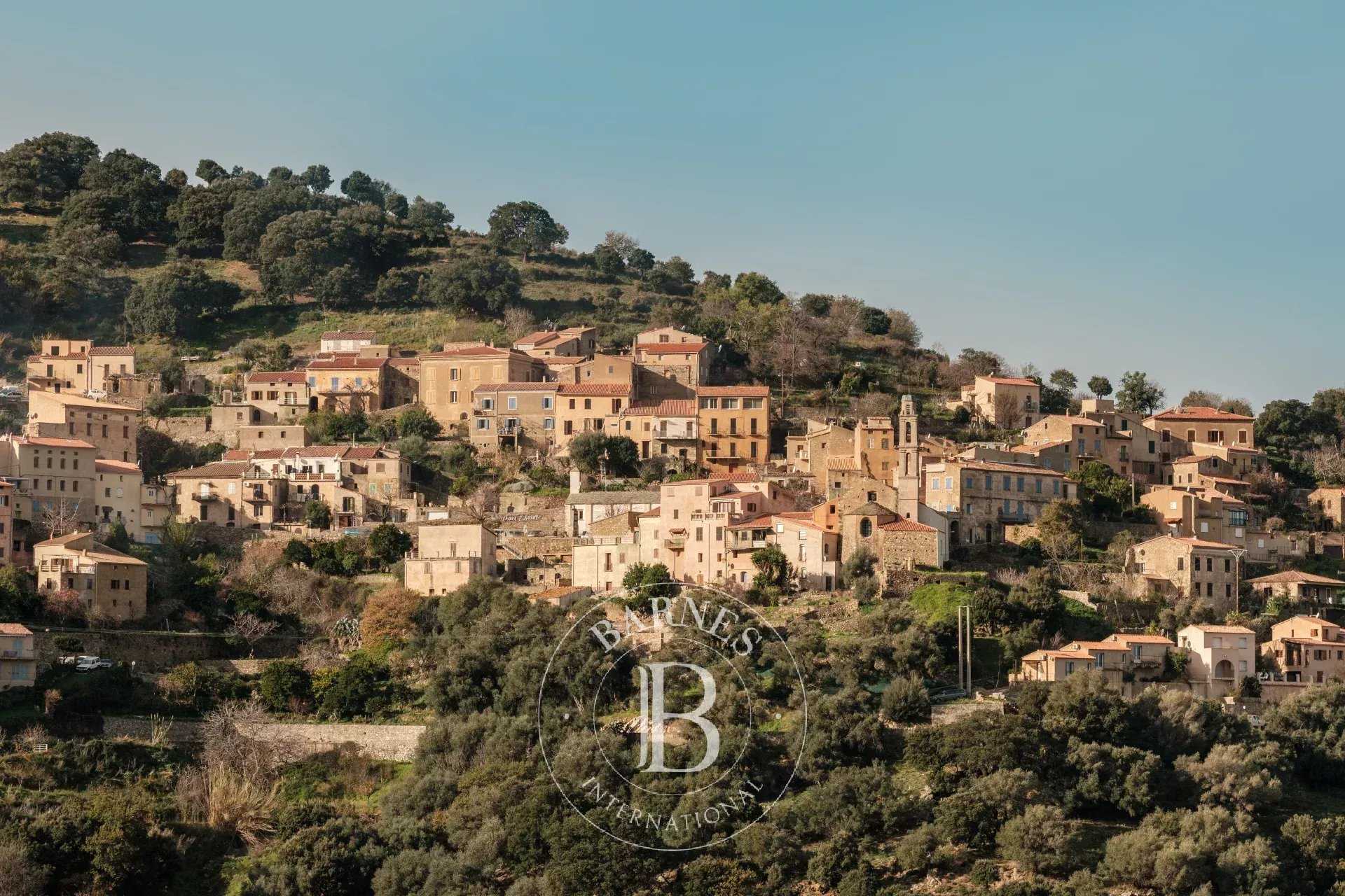 Building land Occhiatana  -  ref 86431437 (picture 1)