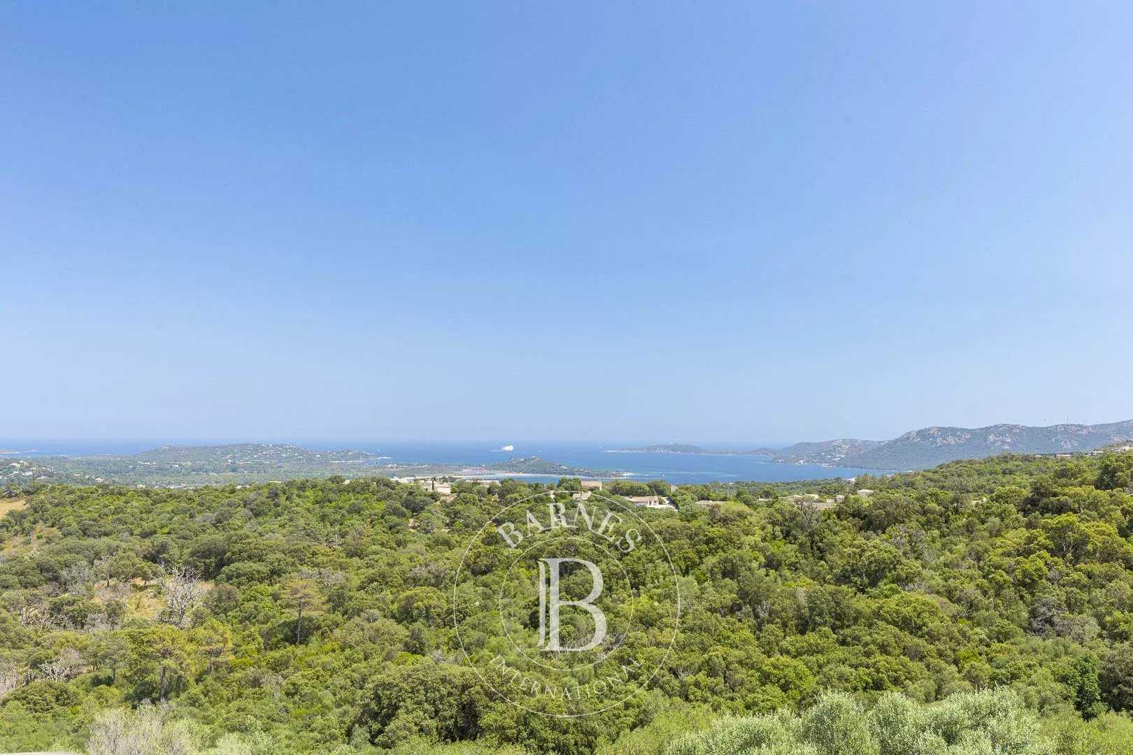 Villa Porto-Vecchio  -  ref 86001677 (picture 1)