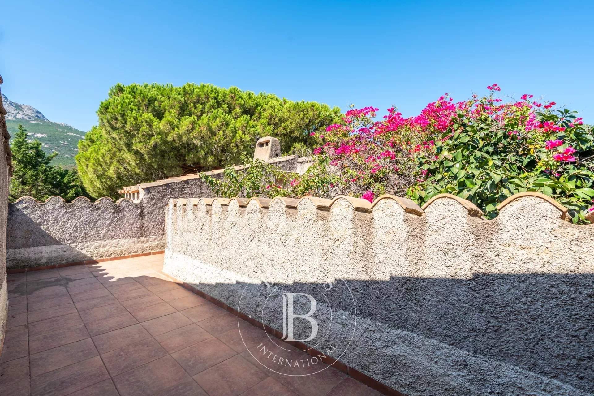 Calvi  - Villa 5 Bedrooms - picture 2