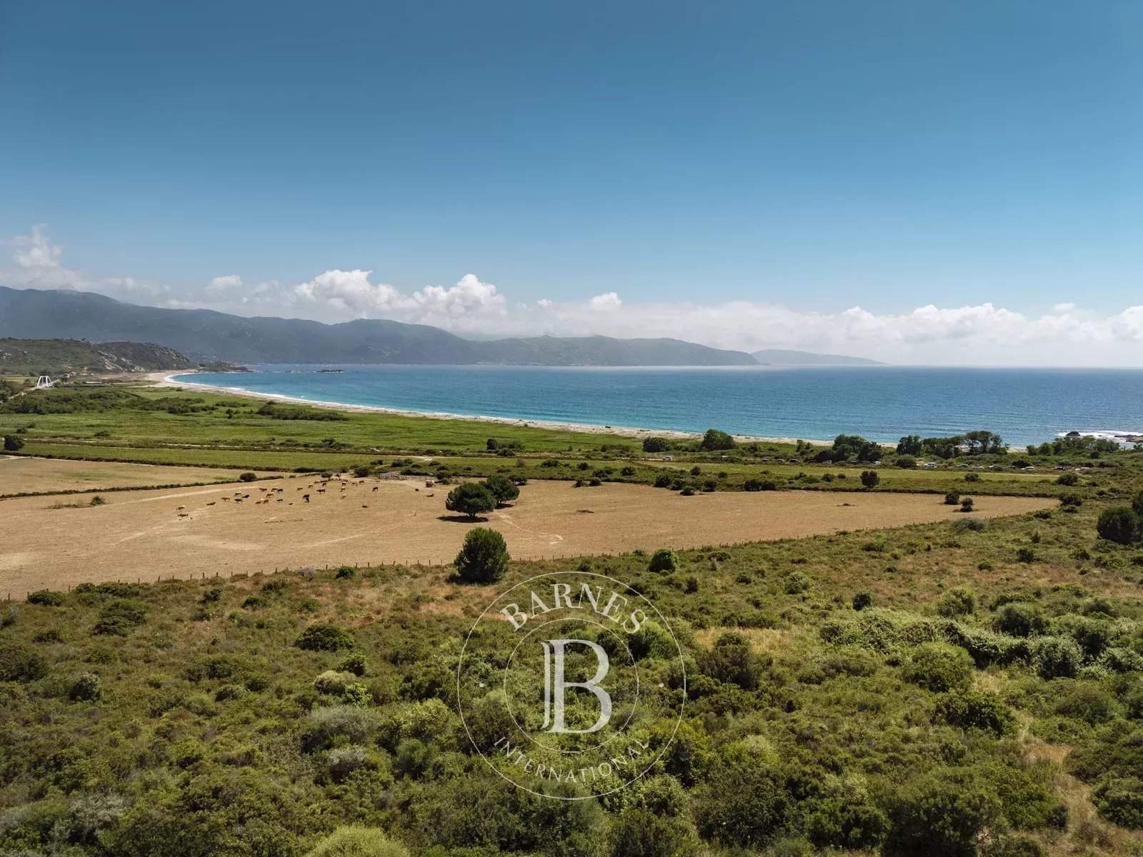 Sagone  - Villa 5 Bedrooms - picture 20