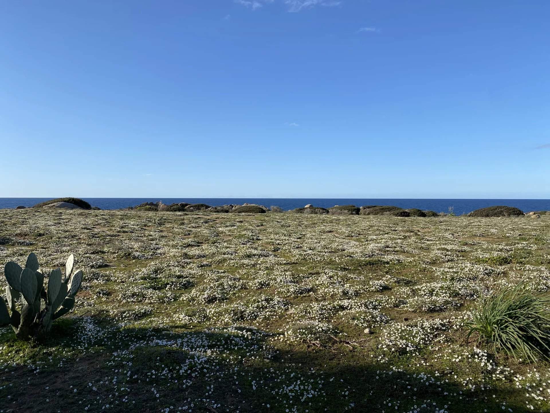 Maison à vendre 5 Pièces 103 m2 Corbara Balagne 1 800 000