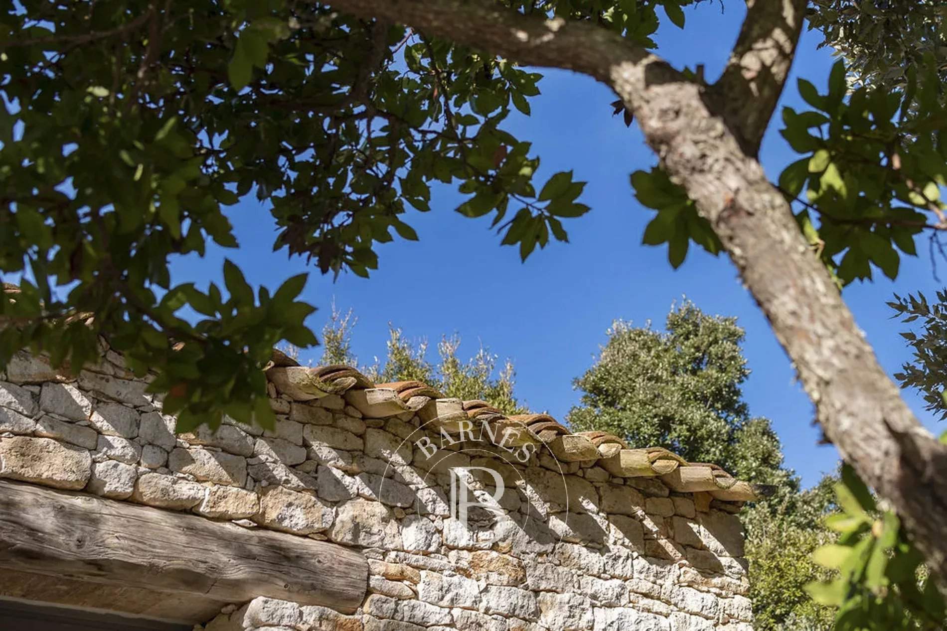 Bonifacio  - Villa  - picture 5