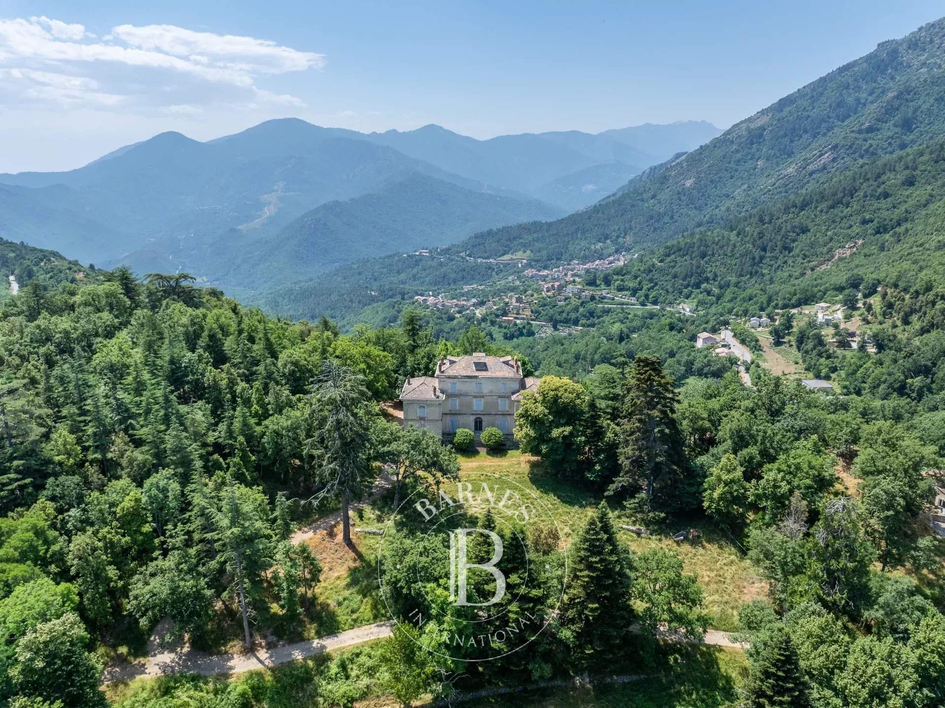 Corte  - Castle 8 Bedrooms - picture 4